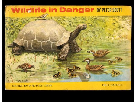 Brooke Bond Tea Card Album - Wildlife In Danger 1963. Complete Set Of Picture Cards. Sale