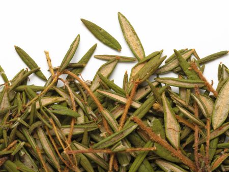 Tisane thé du labrador grade 1 camellia sinensis Online Sale