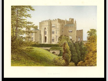 Birr Castle, Pasonstown, Kings Co., Ireland. Antique Print, Chromoxylograph 1880. Hot on Sale