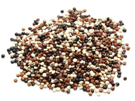 Quinoa royal tricolore biologique Cheap