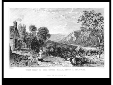 Weir Head Of The River Tamar, Devonshire, England. Antique Print, Steel Engraving 1832. Hot on Sale