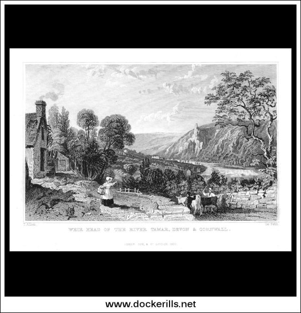 Weir Head Of The River Tamar, Devonshire, England. Antique Print, Steel Engraving 1832. Hot on Sale