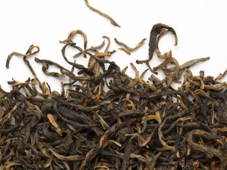 Thé noir jin hou caméllia sinensis For Discount