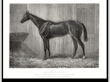 Blue Gown. Winner Of The Derby Stakes At Epsom   Gold Cup At Ascot 1868. Antique Print, Lithograph c. 1880. on Sale