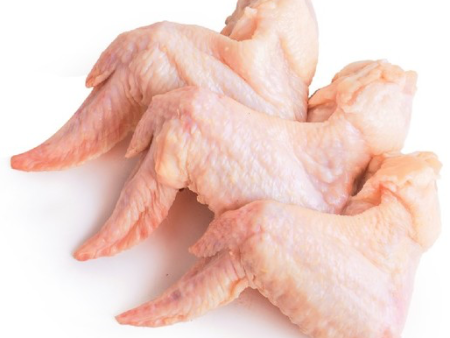 Ailes de poulet For Sale