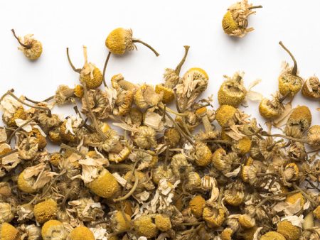 Tisane camomille bio caméllia sinensis Sale