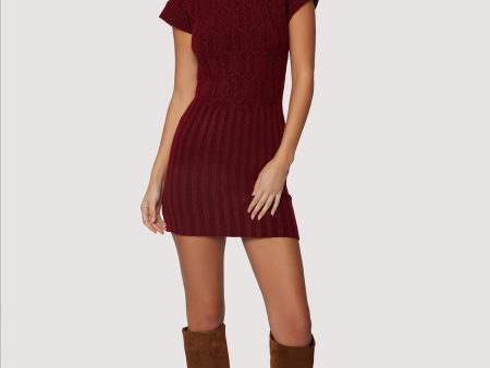 Beatrice Mini Sweater Dress For Discount